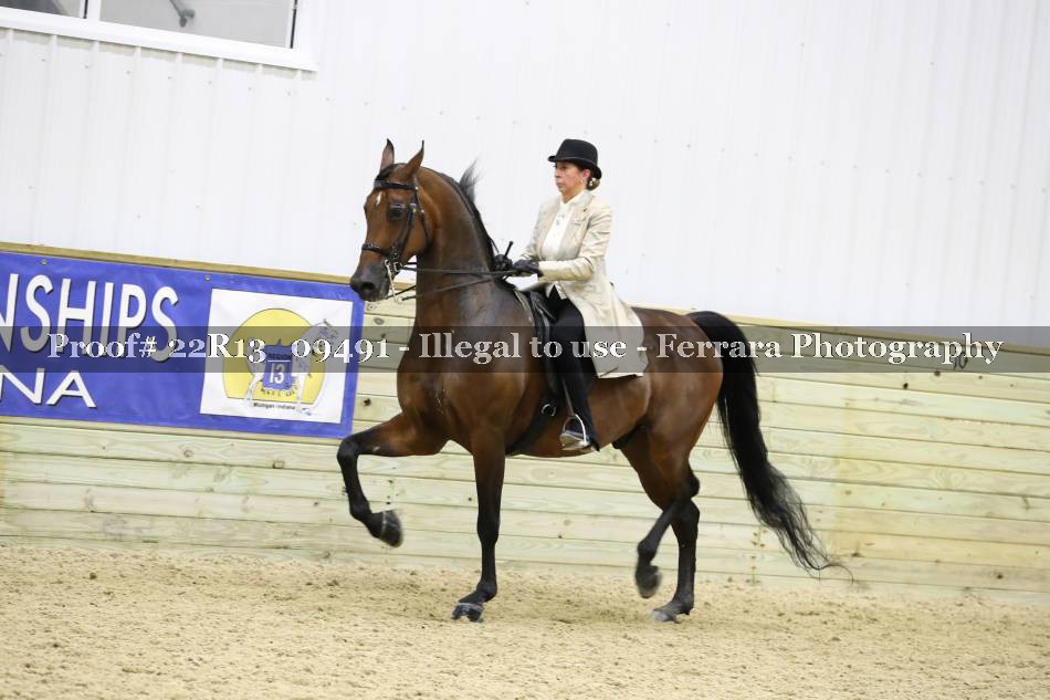 Proof 22R13_09491