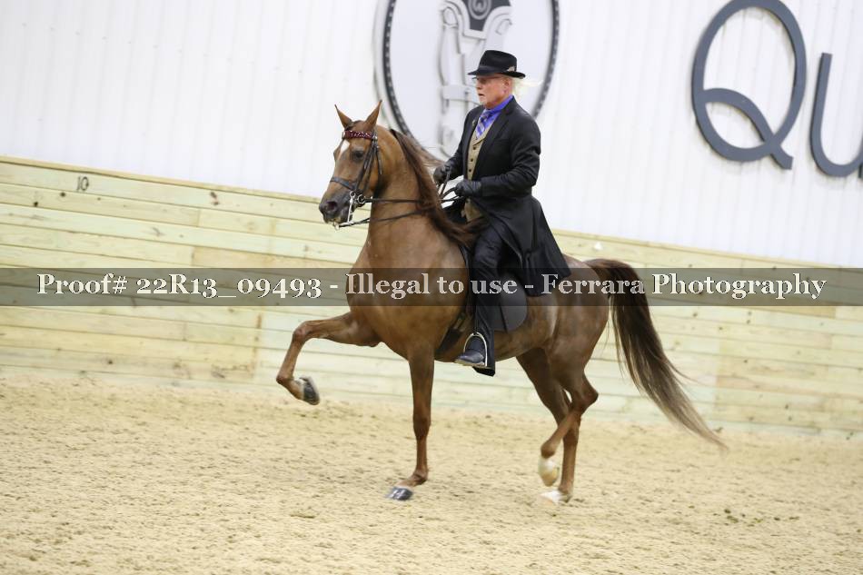 Proof 22R13_09493