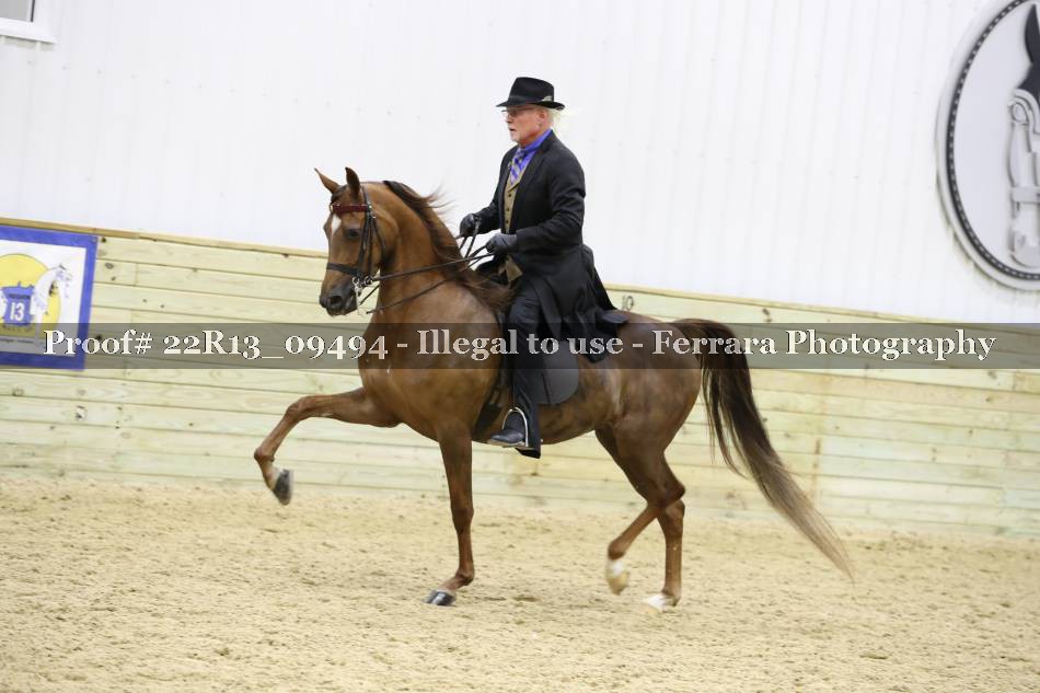 Proof 22R13_09494
