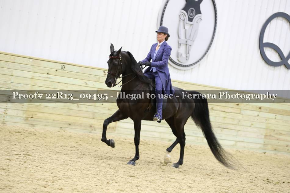 Proof 22R13_09495