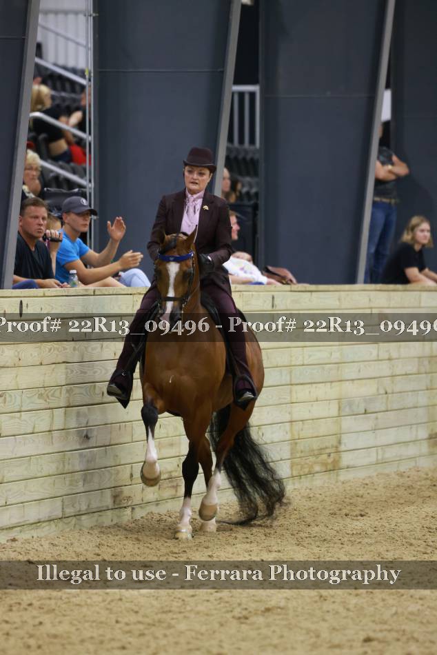 Proof 22R13_09496