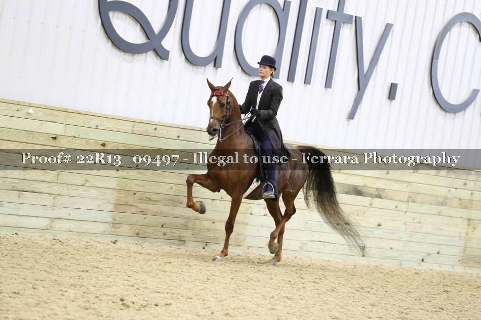 Proof 22R13_09497