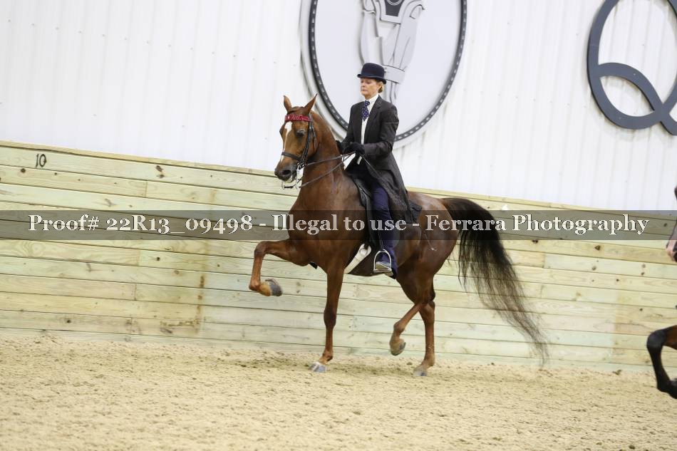 Proof 22R13_09498