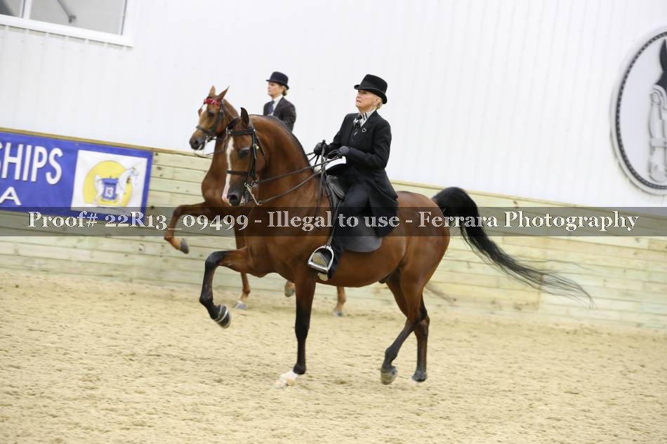 Proof 22R13_09499