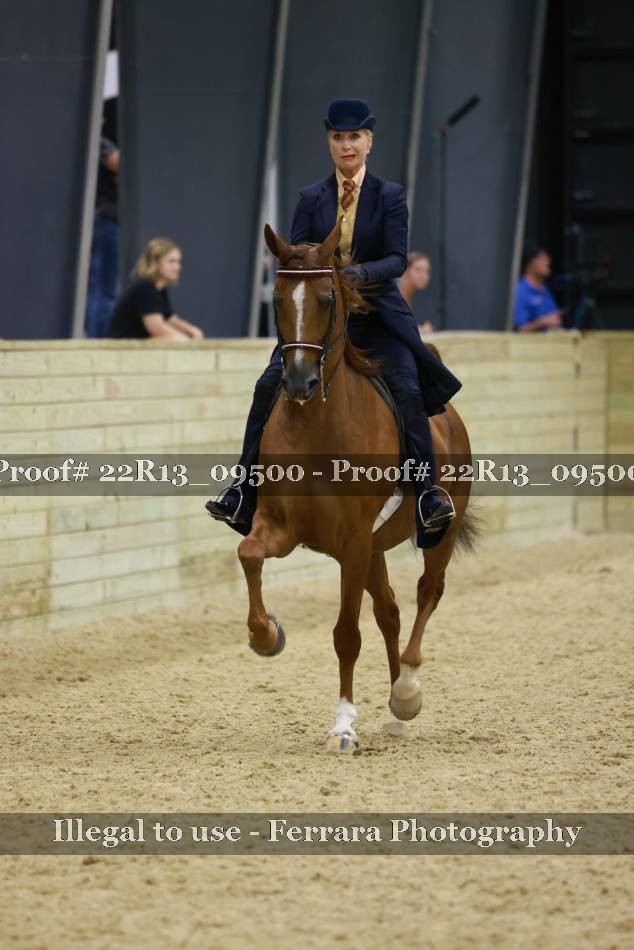 Proof 22R13_09500