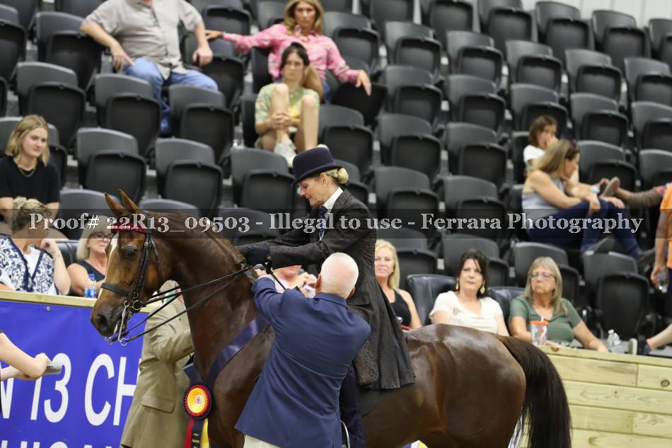 Proof 22R13_09503