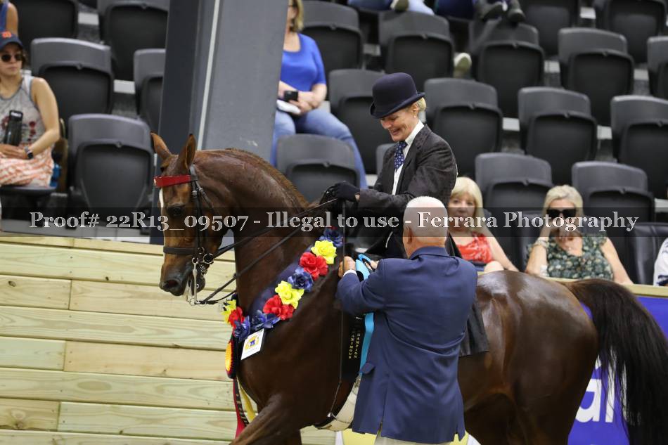 Proof 22R13_09507