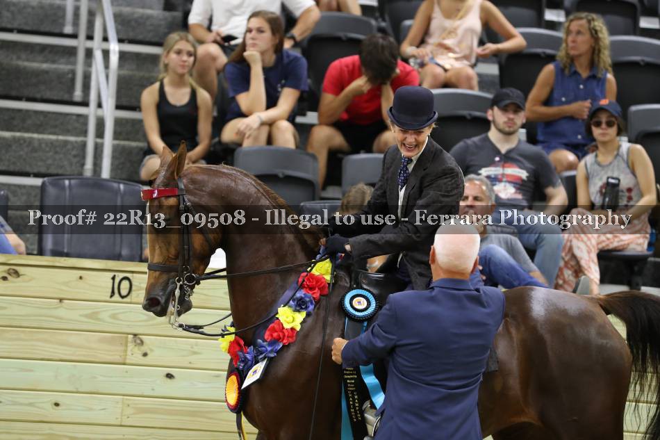 Proof 22R13_09508