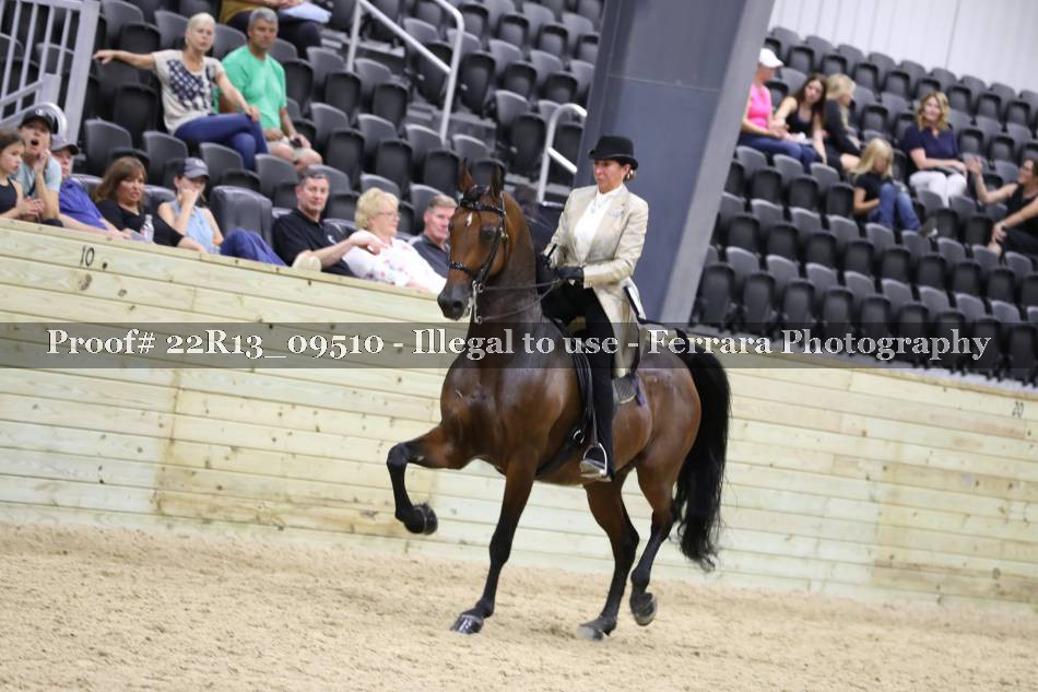 Proof 22R13_09510