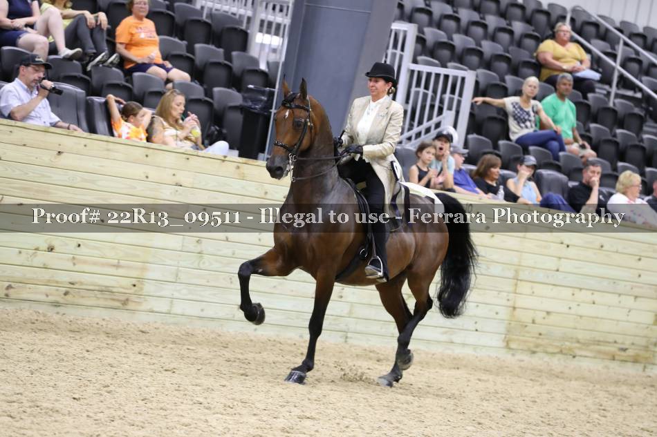 Proof 22R13_09511