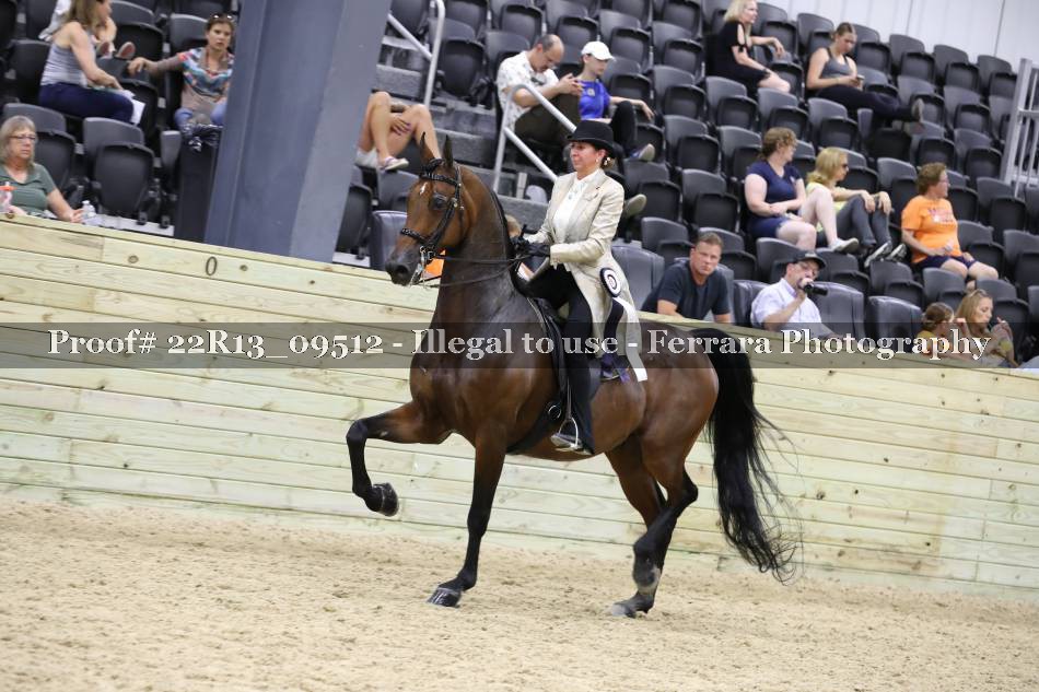 Proof 22R13_09512