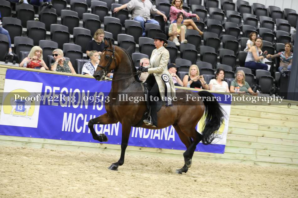 Proof 22R13_09513