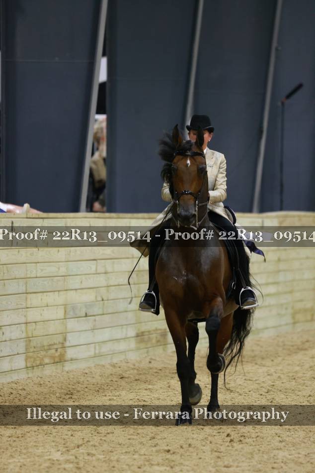 Proof 22R13_09514
