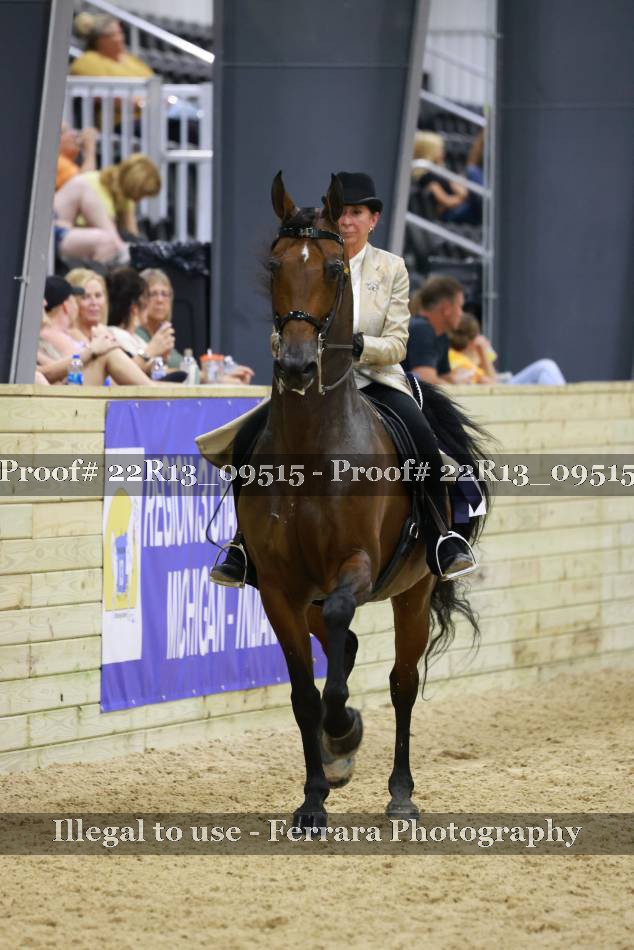 Proof 22R13_09515