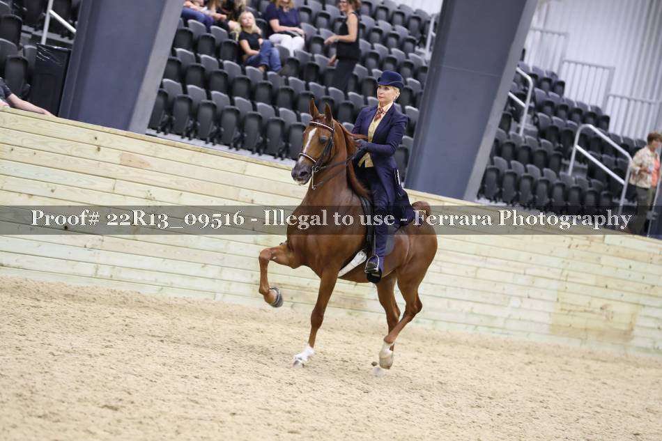 Proof 22R13_09516