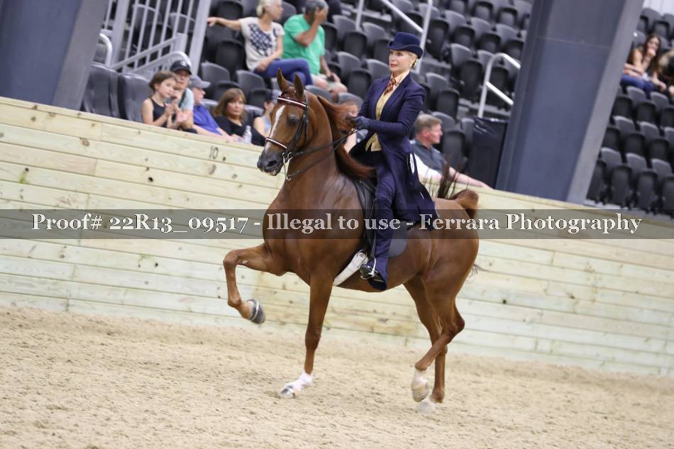 Proof 22R13_09517