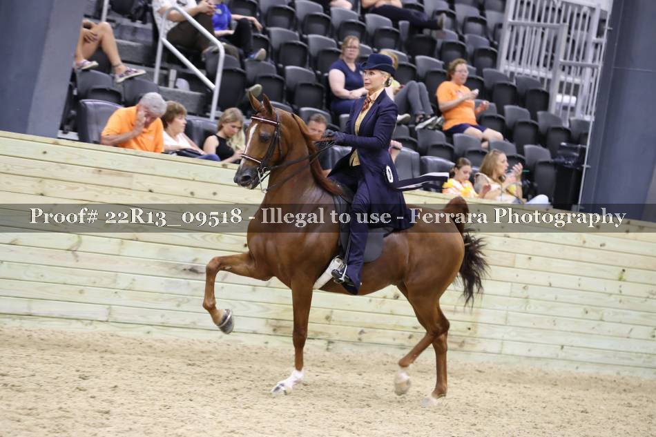 Proof 22R13_09518