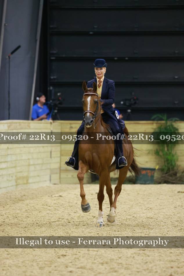 Proof 22R13_09520