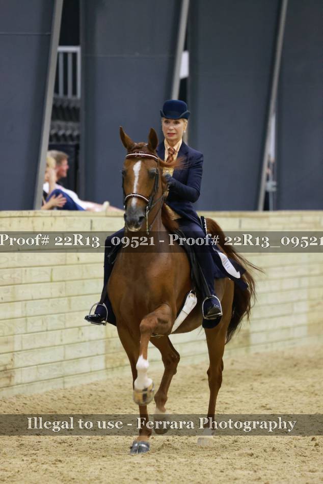 Proof 22R13_09521