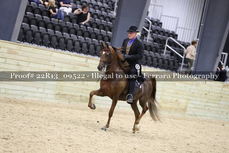 Proof 22R13_09522