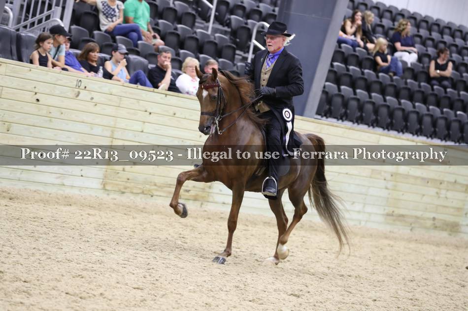 Proof 22R13_09523