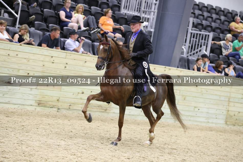 Proof 22R13_09524