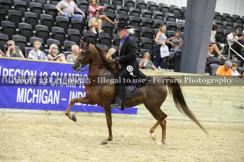 Proof 22R13_09525