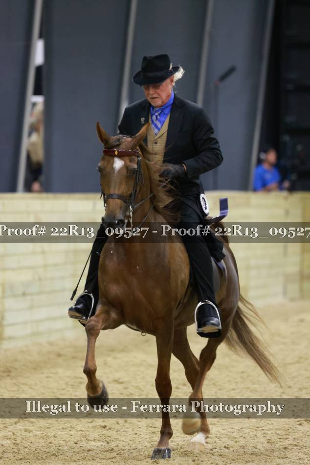 Proof 22R13_09527