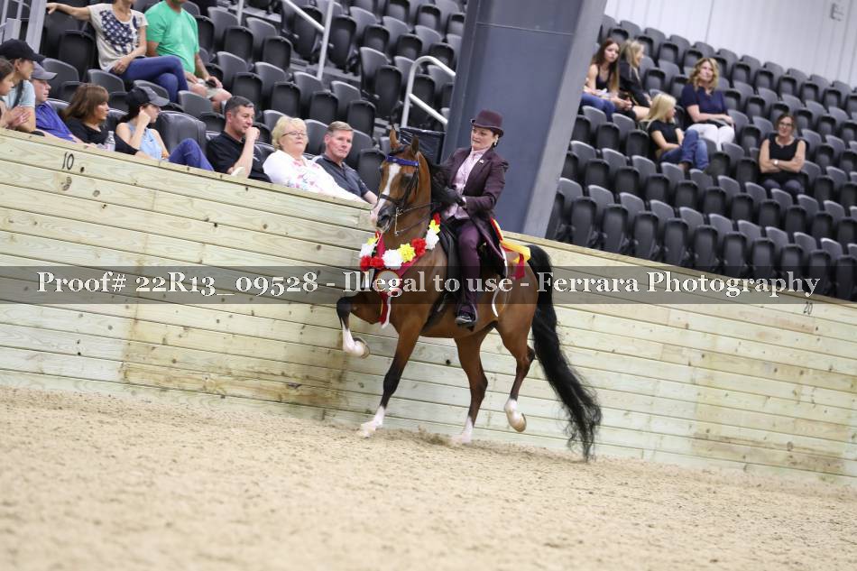 Proof 22R13_09528
