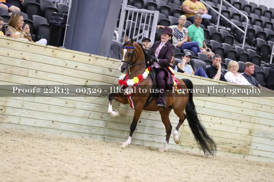 Proof 22R13_09529