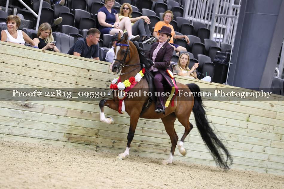 Proof 22R13_09530