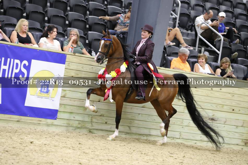 Proof 22R13_09531