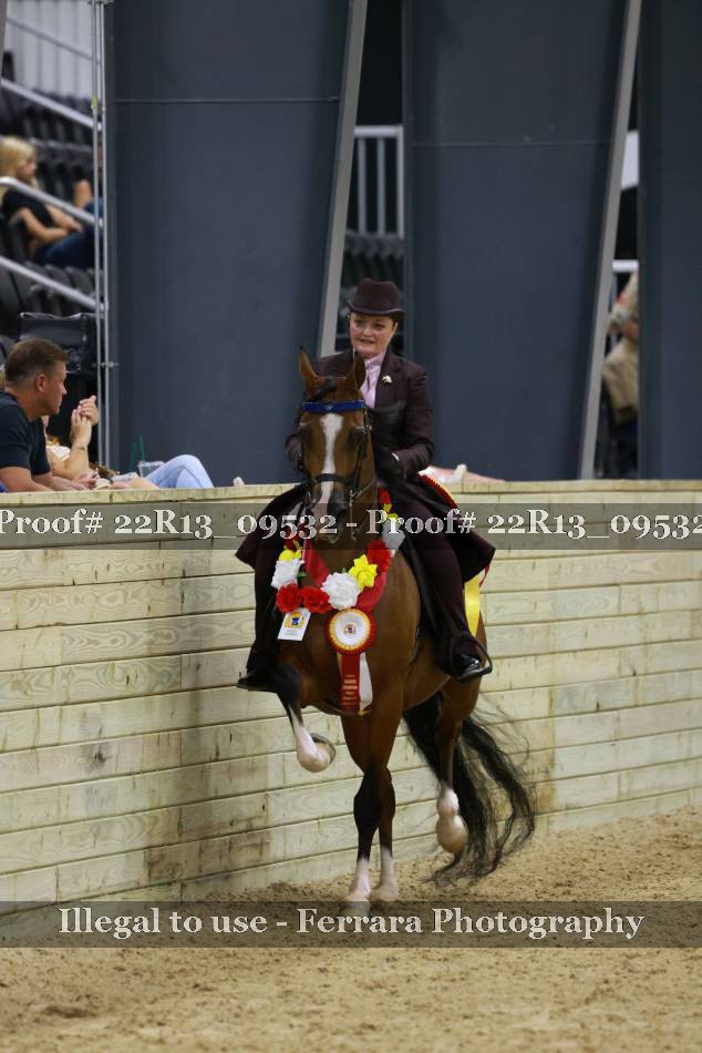 Proof 22R13_09532