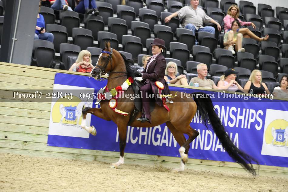 Proof 22R13_09533