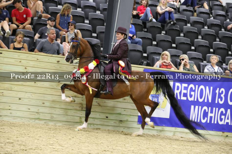 Proof 22R13_09534