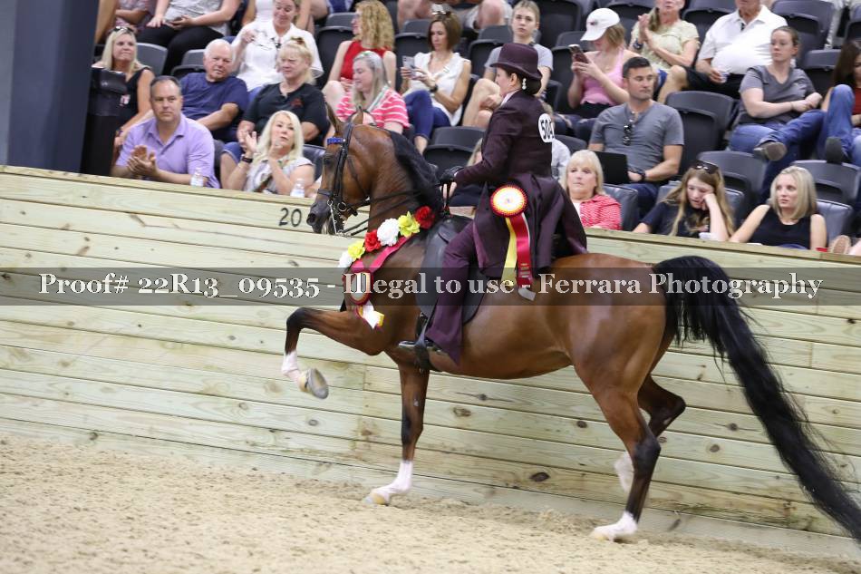 Proof 22R13_09535
