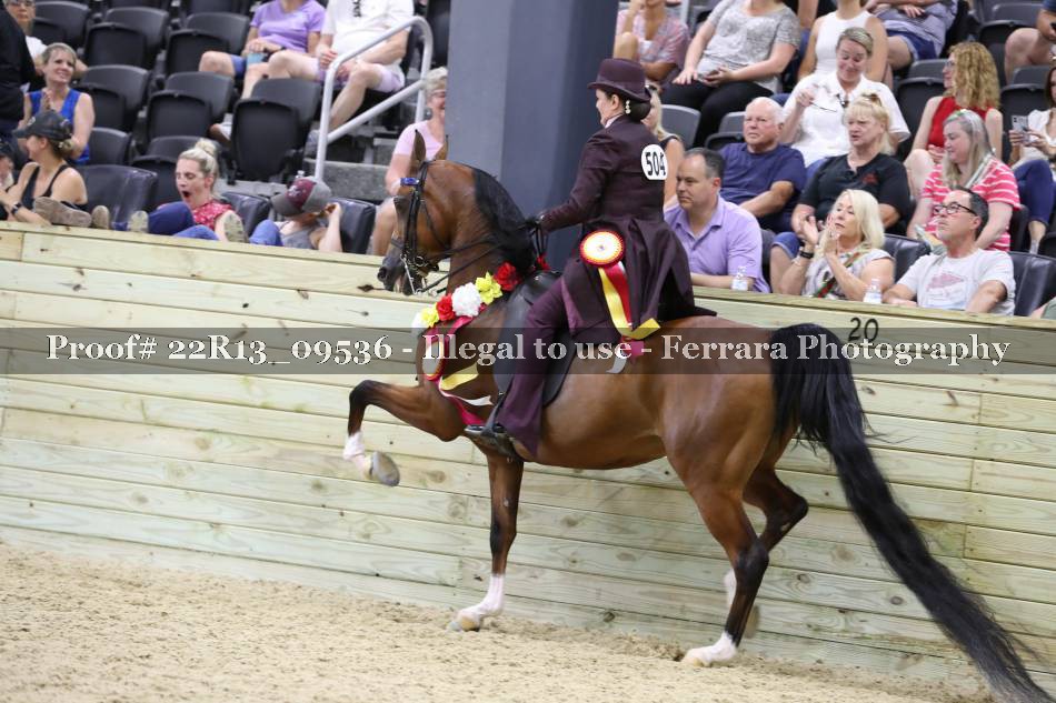 Proof 22R13_09536