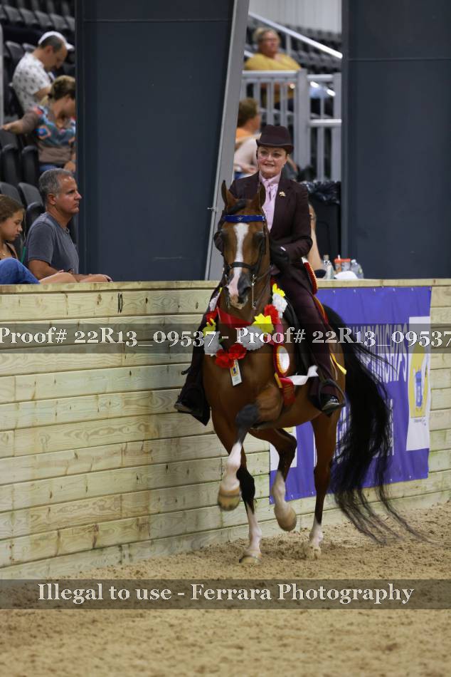 Proof 22R13_09537