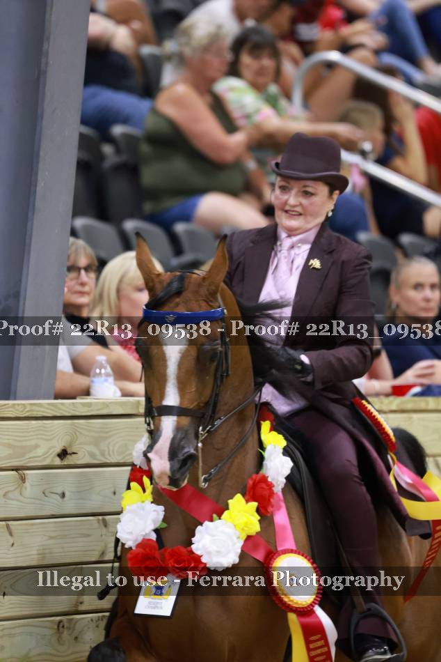 Proof 22R13_09538