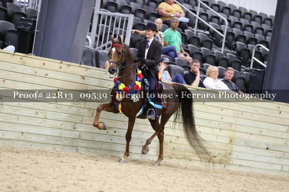 Proof 22R13_09539