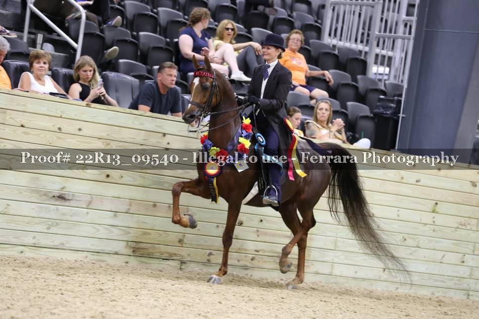 Proof 22R13_09540