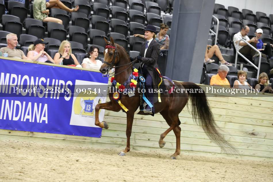 Proof 22R13_09541