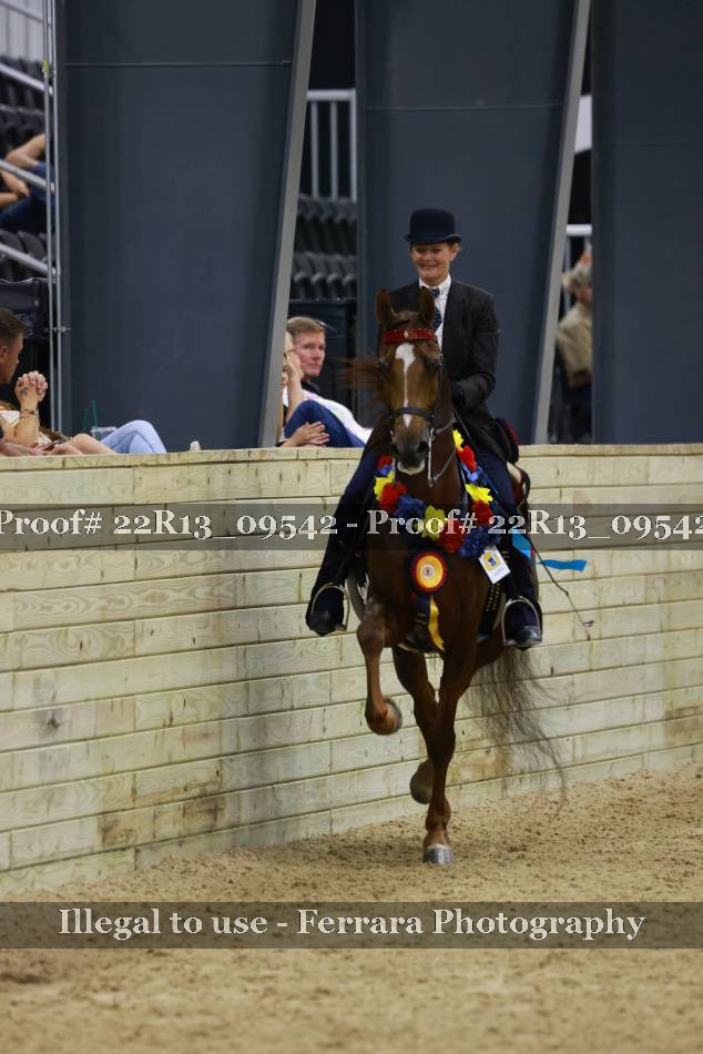 Proof 22R13_09542