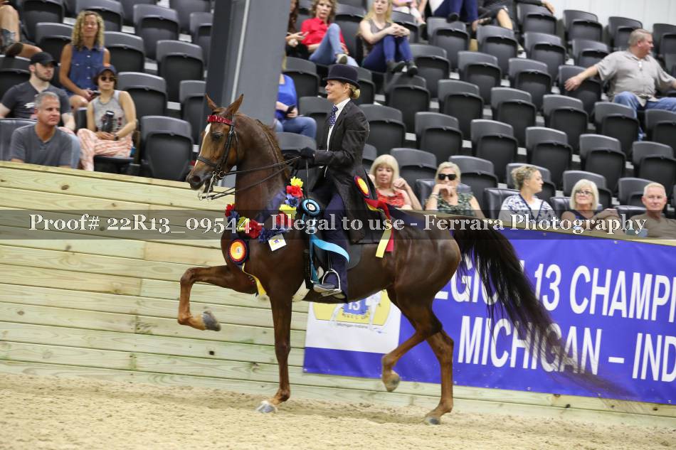 Proof 22R13_09544