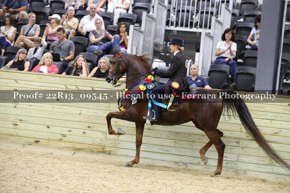 Proof 22R13_09545