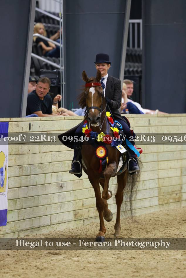 Proof 22R13_09546