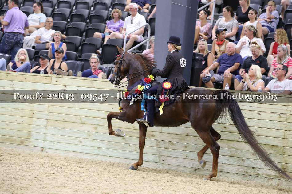 Proof 22R13_09547