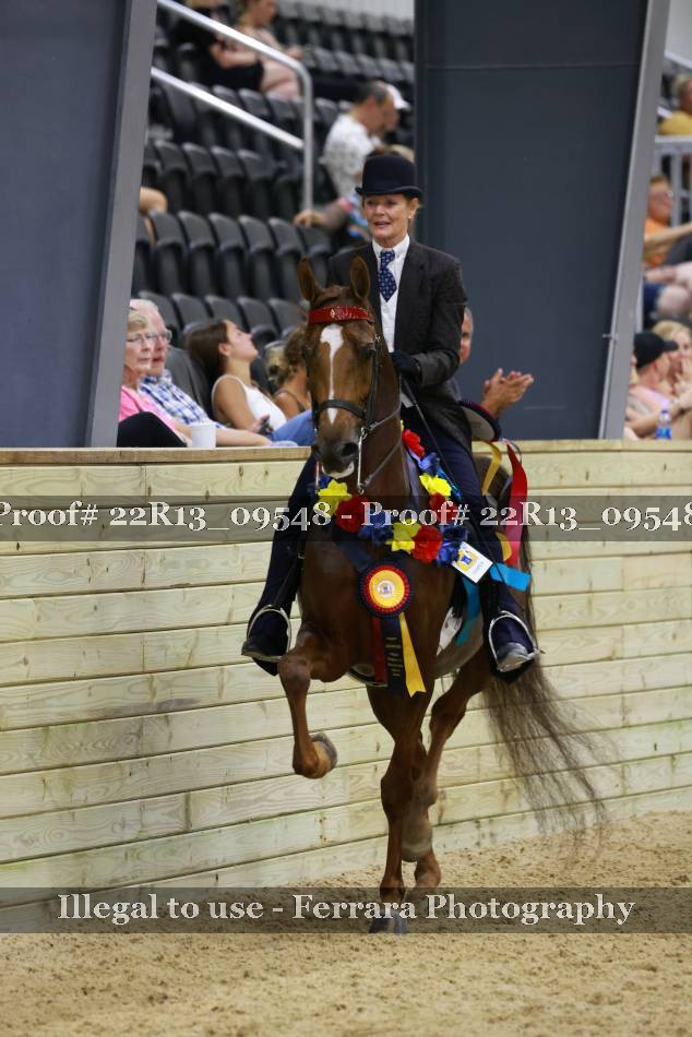 Proof 22R13_09548