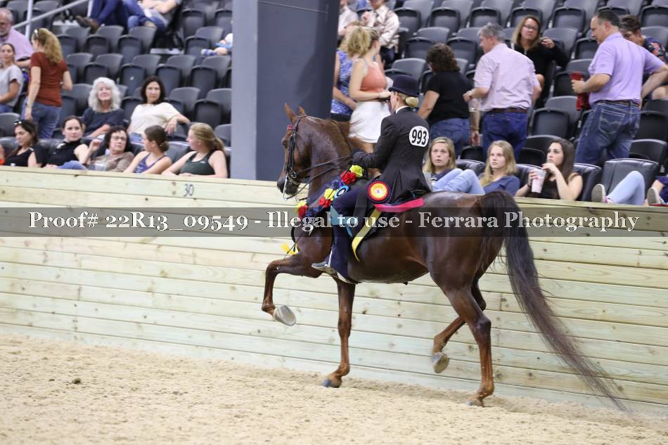 Proof 22R13_09549