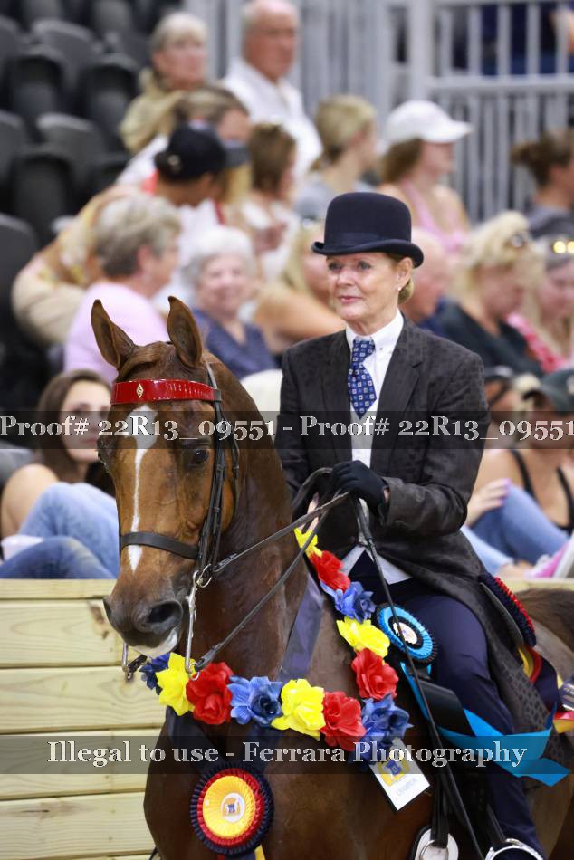 Proof 22R13_09551